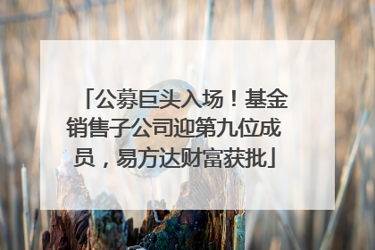 公募巨头入场！基金销售子公司迎第九位成员，易方达财富获批
